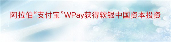 阿拉伯“支付宝”WPay获得软银中国资本投资